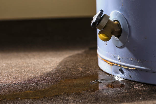 Best Commercial water damage restoration  in Coupeville, WA