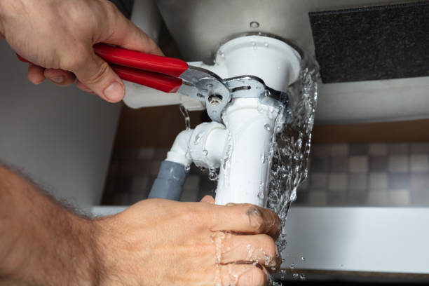 Best Mold removal after water damage  in Coupeville, WA