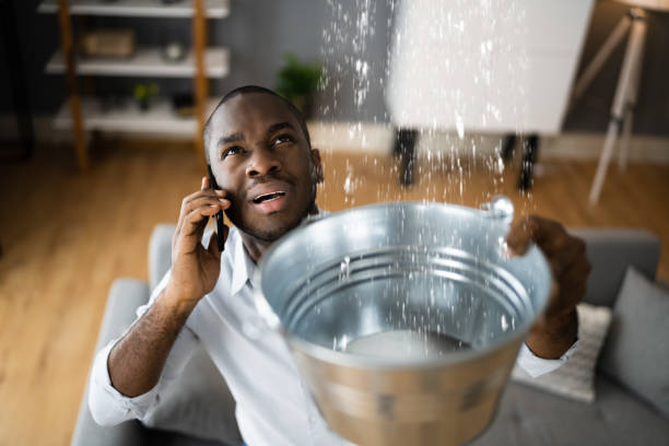 Best Professional water damage repair  in Coupeville, WA