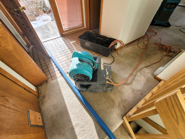 Best Carpet water damage restoration  in Coupeville, WA