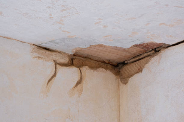 Trusted WA Water damage restoration Experts