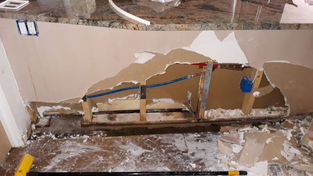 Best Flood damage cleanup  in Coupeville, WA