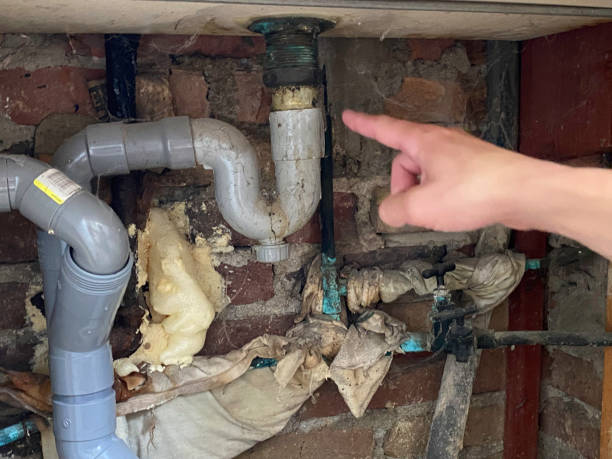 Best Water damage cleanup near me  in Coupeville, WA