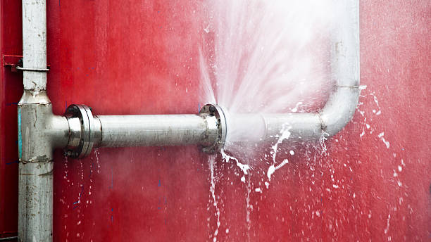 Best Water damage repair service  in Coupeville, WA